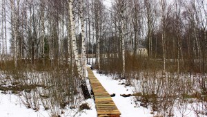 IMG_6000